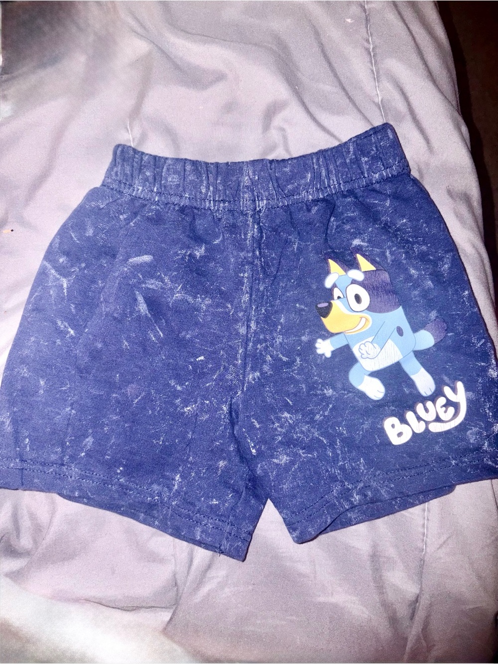 Bluey shorts